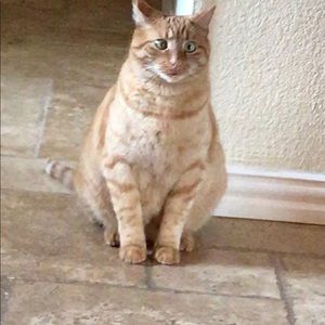 Meet your Posher, Magda